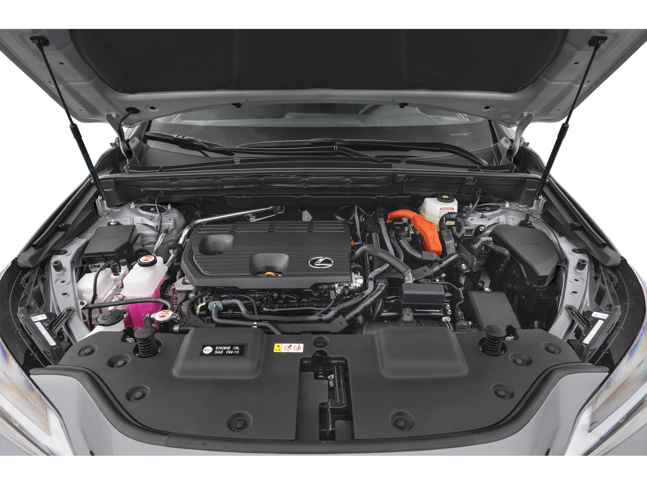 2024 Lexus NX 350h Premium