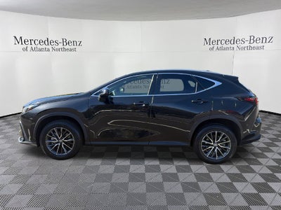 2024 Lexus NX 250 Premium