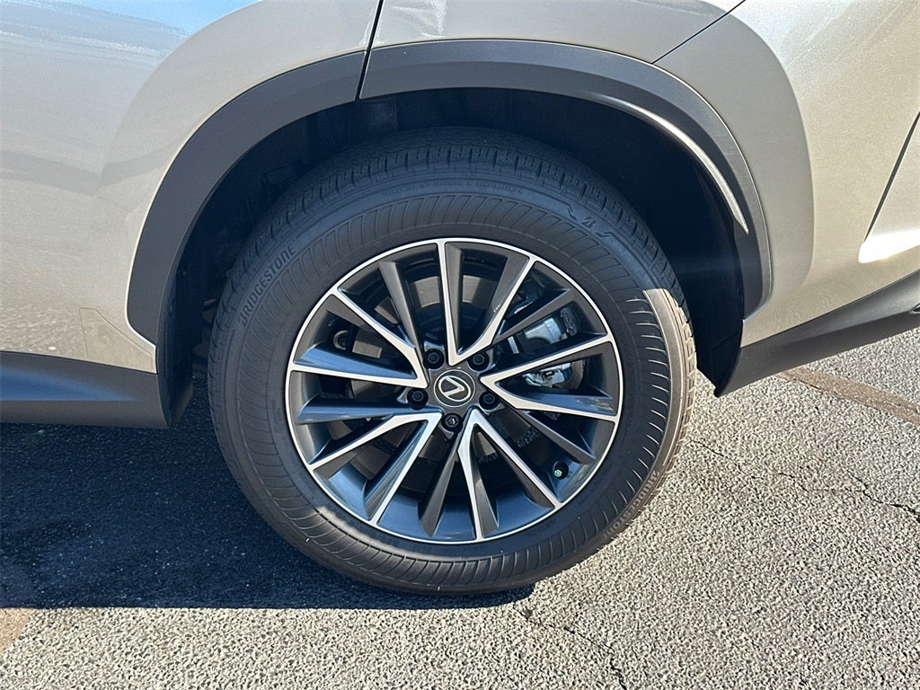 2024 Lexus NX 350h Premium