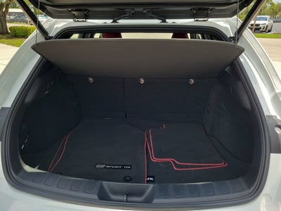 2019 Lexus UX 200 F SPORT