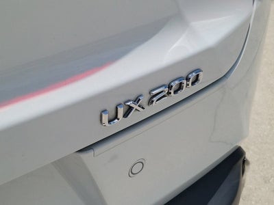 2019 Lexus UX 200 F SPORT