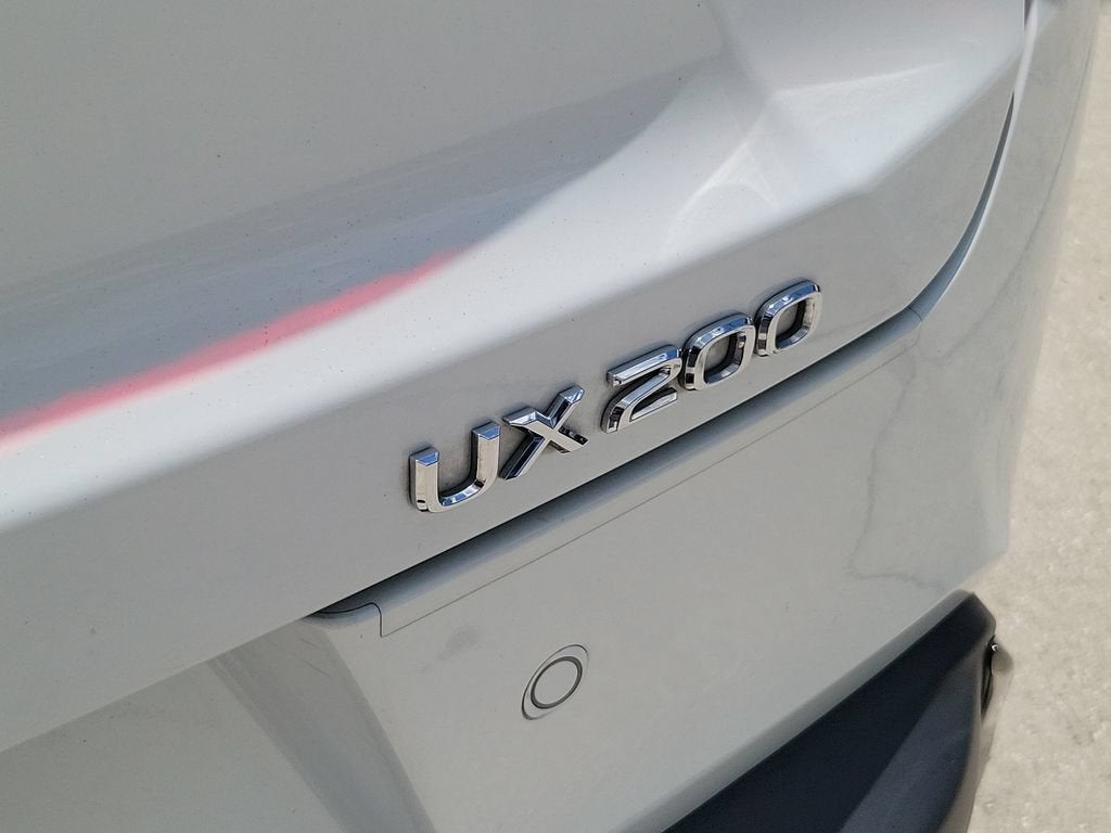 2019 Lexus UX 200 F SPORT
