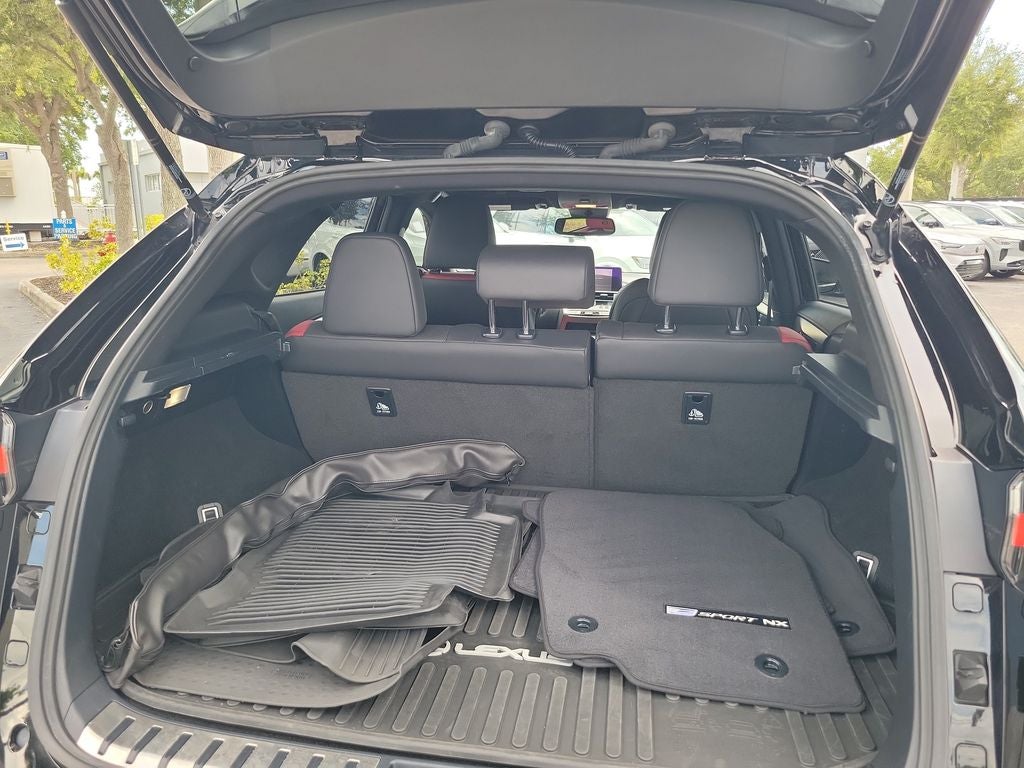 2021 Lexus NX 300 F SPORT