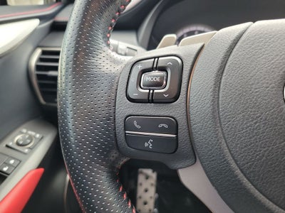 2021 Lexus NX 300 F SPORT