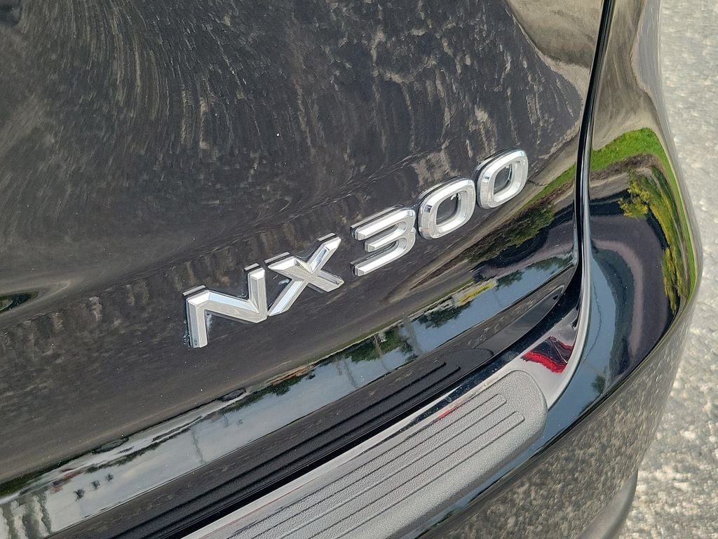 2021 Lexus NX 300 F SPORT