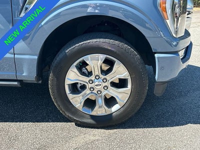 2023 Ford F-150 Platinum