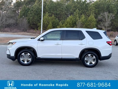 2025 Honda Pilot EX-L