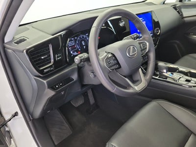 2024 Lexus NX 250 Premium