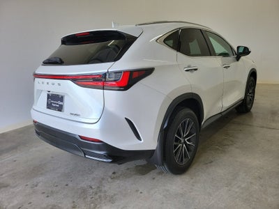 2024 Lexus NX 250 Premium