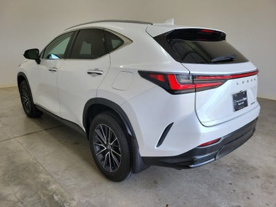 2024 Lexus NX 250 Premium