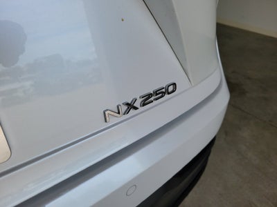 2024 Lexus NX 250 Premium