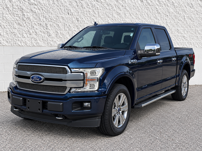 2019 Ford F-150 Platinum