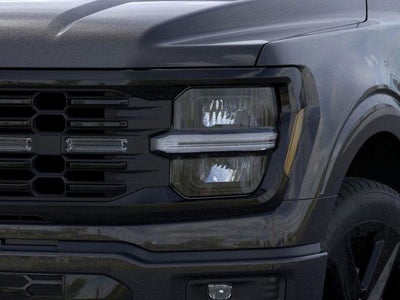 2026 Ford F-150 STX LOBO