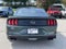 2019 Ford Mustang Bullitt
