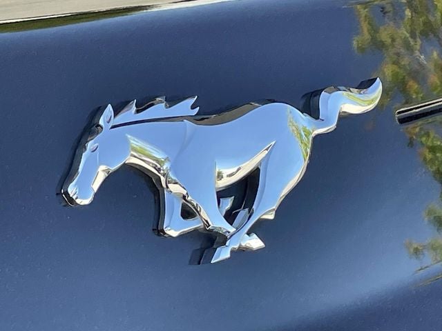 2022 Ford Mustang EcoBoost