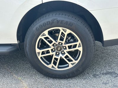 2026 Ford Expedition Active