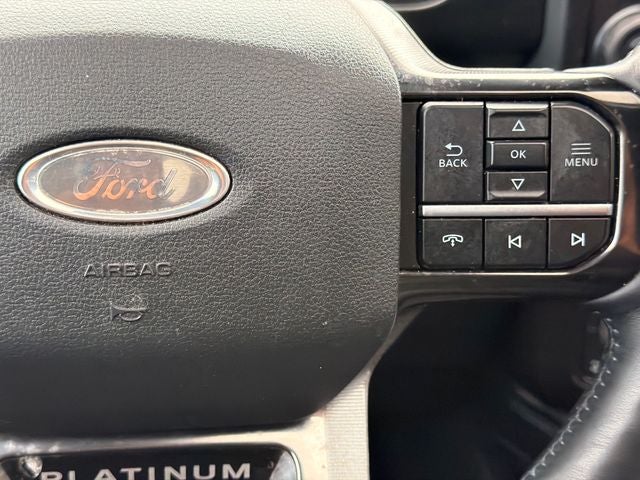 2025 Ford F-250SD Platinum