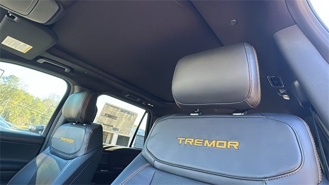 2025 Ford Expedition Tremor