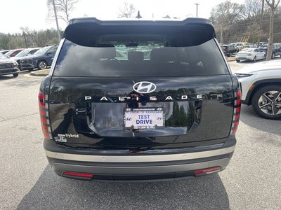 2026 Hyundai Palisade Hybrid Blue SEL 8P